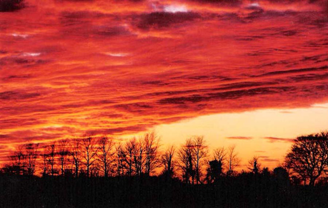 Under A Blood Red Sky