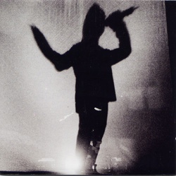 Elevation Tour Edition Version Front Sleeve